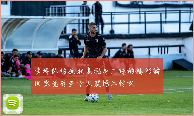 黄蜂队的疯狂表现与三球的精彩瞬间究竟有多令人震撼和惊叹
